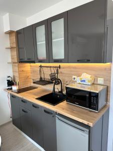 eine Küche mit schwarzen Schränken und einer Mikrowelle auf der Theke in der Unterkunft Ив-Бо in Rawda