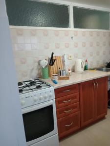 Kuchyňa alebo kuchynka v ubytovaní Studio Apartment Posavec