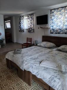 1 dormitorio con 1 cama grande y TV de pantalla plana en Studio Apartment Posavec en Premantura