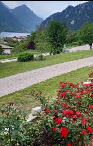 a walkway with red flowers in a park at B&B le rose in Crone