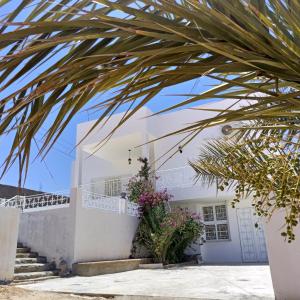 una casa blanca con una palmera delante de ella en Dar ettawfik, en Tataouine