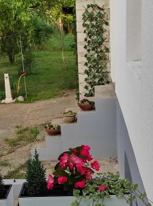 un groupe de fleurs en pots sur un escalier dans l'établissement Szomolyai Vadvirág vendégház, à Szomolya