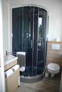 B&B Le Courtil في Dohan: حمام مع دش ومرحاض