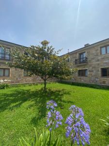 Zahrada ubytování Hotel Vijanera