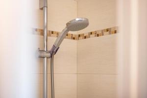 a shower with a shower head in a bathroom at Mitterbruggehof Apt Alpenrose in Anterselva di Mezzo