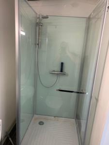 une douche avec une porte en verre et une étagère. dans l'établissement Lakeland BoxCabin, à Viitasaari