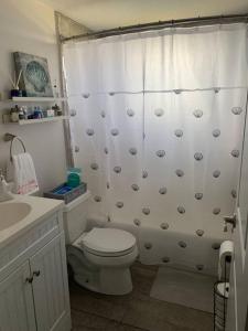 a bathroom with a toilet and a shower curtain at Ormond Beach, fun & loving sun! in Ormond Beach
