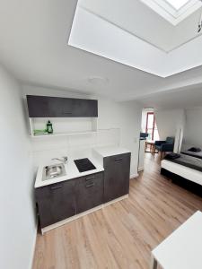 een keuken met een wastafel en een fornuis in een kamer bij Hafen Appartements Wismar in Wismar