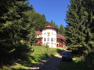 un'auto parcheggiata di fronte a una grande casa di Pension Casa Olga a Pârâul Rece