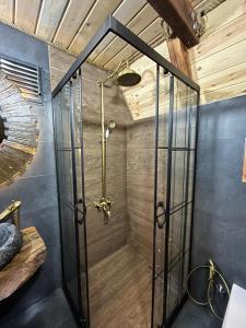 a shower with a glass door in a bathroom at Sisorti süit bungalov in Rize