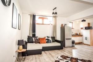 Kuchyňa alebo kuchynka v ubytovaní Apartamenty Dwupoziomowe Na Dwa Widoki z Jacuzzi & Sauna