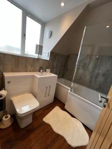 a bathroom with a toilet and a shower and a sink at Roslin Templar loft in Roslin