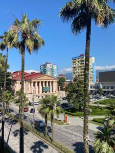 vista su una città con palme e edifici di Rustaveli Ave Apartment a Batumi