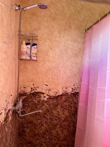 a bathroom with a shower with a pink shower curtain at Vaso's Guesthouse in Katsʼkhi