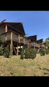 a wooden building with christmas trees in front of it at AgriGlamping La Diaccia in Serravalle Pistoiese