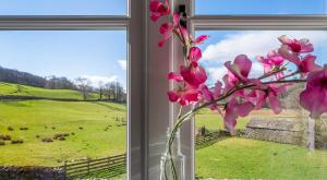 Zahrada ubytování Crummock
