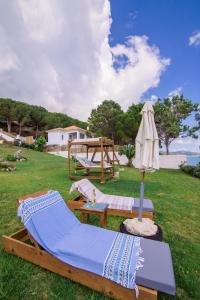 Příroda nedaleko vily