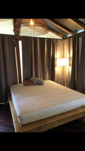 1 dormitorio con 1 cama con dosel y 1 lámpara en AgriGlamping La Diaccia, en Serravalle Pistoiese