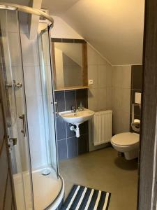 a bathroom with a sink and a shower and a toilet at Penzion pod Březinkou in Polička