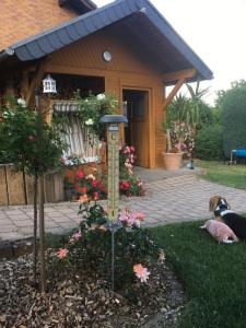 Zahrada ubytování Gästehaus Nelles