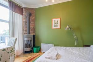 a green bedroom with a bed and a fireplace at Almada Apartment in Hamilton +8 photos