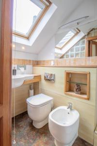 a bathroom with a toilet and a sink and a skylight at Almada Apartment in Hamilton
