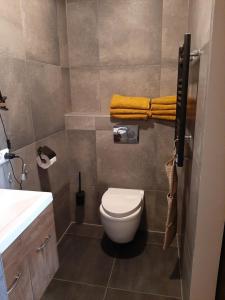 a bathroom with a toilet and a sink and towels at Jacuzzi huisje De Berenshoeve in Emmen