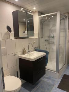 een badkamer met een toilet, een wastafel en een douche bij Ferienwohnung Happy Allgäu in Vogt