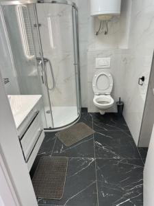 een kleine badkamer met een douche en een toilet bij Gostilna in apartmaji Zlati lev - Maribor in Maribor