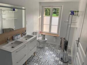 un bagno con lavandino, water e finestra di Le Domaine du Tronquoi. a Vironchaux Altre 22 foto