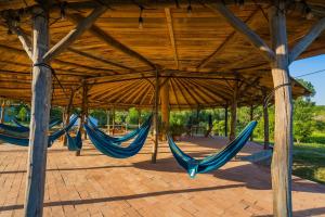 two blue hammocks under a wooden pavilion at Szellős Rét Camping in Bálványos