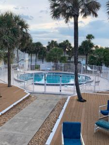 a swimming pool with palm trees and blue chairs at Ormond Beach, fun & loving sun! in Ormond Beach