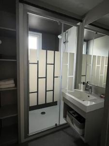 a bathroom with a shower and a sink and a mirror at Chalet Eguzkitsua 3 étoiles avec piscine et barbecue - pays basque - in Hasparren