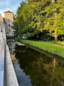 un río junto a un edificio con árboles y césped en Maison terrasse au bord de l'eau, en Ébreuil