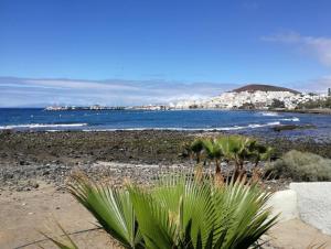 a beach with trees and the ocean and buildings at Room in Lodge - Big Room Tenerife Sur Private Bathroom Wifi in Arona