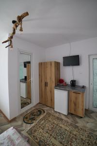 Kuchyň nebo kuchyňský kout v ubytování Vila Traian si Teodora