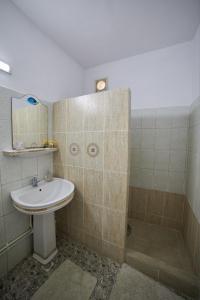 Koupelna v ubytování Vila Traian si Teodora