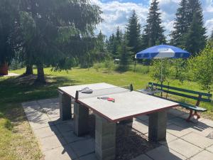 Afbeelding uit fotogalerij van Cabana Transilvania in Beliş +56 foto's