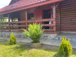 Afbeelding uit fotogalerij van Cabana Transilvania in Beliş