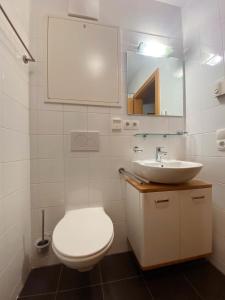 ein Badezimmer mit einem weißen WC und einem Waschbecken in der Unterkunft Daniela 10 by SMR Rauris Apartments - inc Spa and National Summercard - near Gondola in Rauris