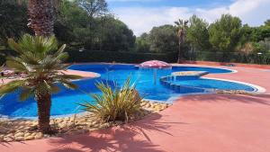CHALET 35m2 climatisé 2 chambres vue mer内部或周边的泳池