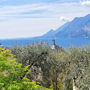 een uitzicht op een waterlichaam met bomen en een kasteel bij RESIDENCE KORMORANO MALCESINE in Malcesine