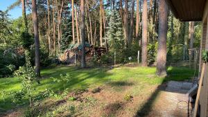 Billede fra billedgalleriet på Haus Eva i Groß Gusborn