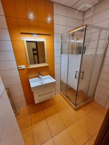 uma casa de banho com um chuveiro e um lavatório. em Aparthotel Olympland em Trutnov