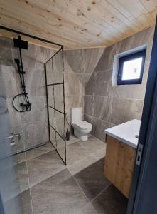 a bathroom with a shower and a toilet and a sink at A Frame Chalet By Superski in Cavnic