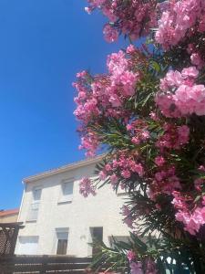 ein Baum mit rosa Blüten vor einem Gebäude in der Unterkunft Maison Toulouges Climatisée - Proche Perpignan in Toulouges