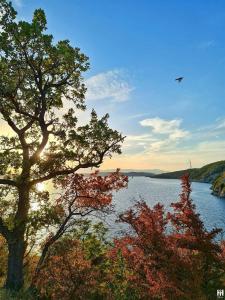 a view of a lake with trees in the foreground at Apartments Lucia&Veronica in Dramalj