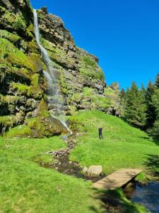 a person standing in a field next to a waterfall at Spói Guesthouse in Hvolsvöllur