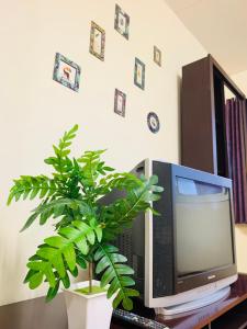 a computer monitor sitting on a desk with a plant at Condo poppular T8 fl14 in Thung Si Kan