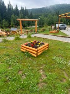 Zahrada ubytování CLUBUL DACILOR